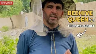 🐝شہد کی مکھیوں کی ملکہ کون ہوتی ہے؟ Queen Bee Explained 🍯