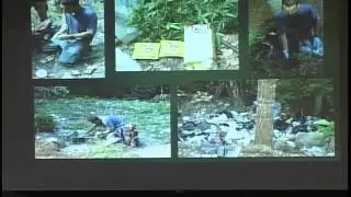 Silent Forests: How are Toxicants Associated with Marijuana Cultivation Impacting Wildlife?
