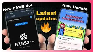 🔥 PAWS Bot: New DOGS Alternative with Huge Support | Latest Updates on Tomarket and New Features 💰