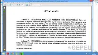 FORMULARIO 120 V4 RUBRO 4 Y5