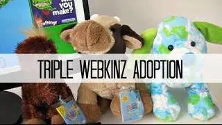 Webkinz Triple Adoption