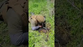 Removal of TM62 Anti Tank Landmine in Kharkiv Region Ukraine. #ukraine #ukraina #forukraine