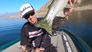 Big Swim Bait HawgHunter choked by chunk Large Mouth Bass | Perris Lake Ca