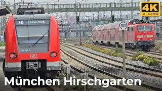 M&uuml;nchen Hirschgarten - 25.10.2024: Herbststimmung und Zugverkehr