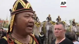 Thailand - Elephants in ceremonial tribute to late King | Editor's Pick | 08 Nov 16