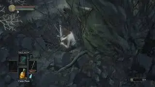 funny (DS3)