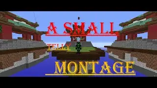 A Small Minecraft Telly Montage