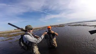 Coot shoot 2016