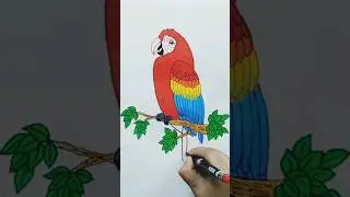 Beautiful Scarlet Macaw - Draw Easy -drawing tutorial  #drawingshorts #kidsdrawing #artshorts