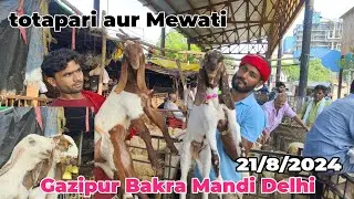 Ghazipur Bakra mandi live update 21/8/2024 Aaj Mandi bahut acchi thi bacche bhi aaye hue ha