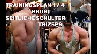 Mein aktueller Trainingsplan | Brust | Schultern | Trizeps | 4er Split | 6x Training pro Woche
