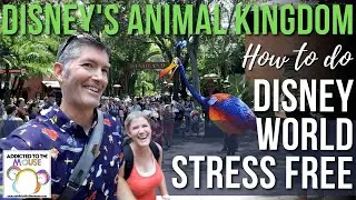 How to Not Stress Out in Disney World | Animal Kingdom
