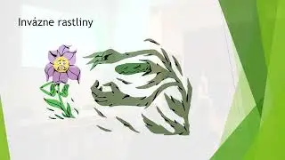 KRAJINOTVORBA - prednáška Ing. Vallo - invázne rastliny