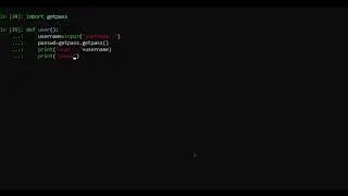 Password Type input in python
