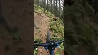 bear attack guy on bike