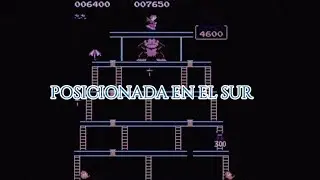 Forty one - POSICIONADA EN EL SUR 