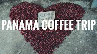 Dlaczego PANAMA GEISHA jest tak WYJĄTKOWA? | odc.5
