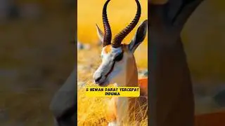 5 hewan darat tercepat didunia #trendingshorts #faktaunik #ytshorts