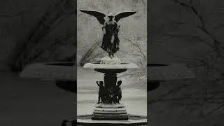 (Free) CENTRAL PARK Type Beat