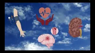 Salt glands in marine birds - Pills of Animal Physiology