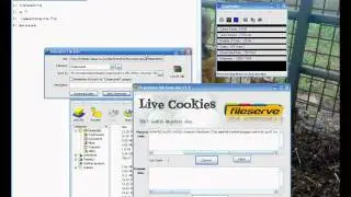 fileserve free downloads FXP RONALDO10
