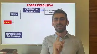 Direito Constitucional: Poder executivo- Crime comum e crime de responsabilidade: parte 1