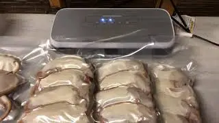 How I bag and Freeze my own rats