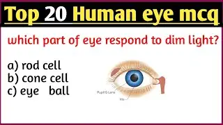 Top 20 Human Eye Mcq | human eye mcq questions || human eye | what is eye | visions | eye function|