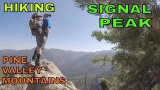Hiking Signal Peak, Pine Valley Mountains, Utah