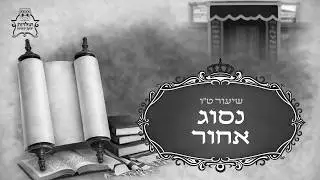 שיעור 15 - נסוג אחור - קורס מקיף ללימוד דקדוק לשון הקודש