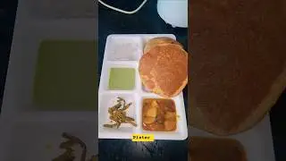 Aalu puri pleter #dailylife #family #familyvlog #volg #vlogger #vlogging ##villagelife #catlovers