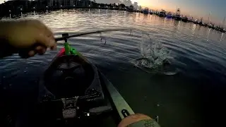 Part 1- JACKAPOCALISS,  BIG FLOUNDER and some SNOOK!!!!