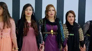 Best Kurdish wedding 2023 | Best kurdish dance 2023