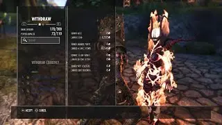 Eso Battlegrounds PS EU Empress Stamsorc