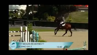 Da Vinci DV Z Clear Jump Off 7th $35,000 CSI 3* 1.45m Winning Round at HITS Hudson Valley 2025