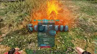 Jak z&iacute;skat max lvl dino Super dinosaur [CZ/SK] ARK