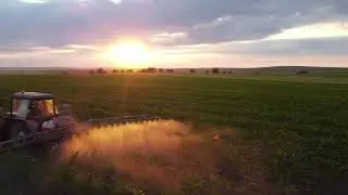 Aplic foliar pentru porumbul de siloz