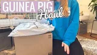 November Guinea Pig Haul | 2022