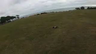 Team Corally Python XP 6s 1st run.