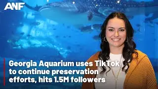 Georgia Aquarium uses TikTok to continue preservation efforts