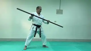 棒法與徒手