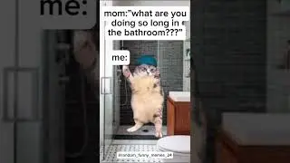 Hey hey you you I don't like your girlfriend cat meme