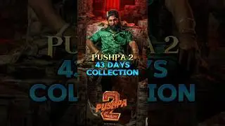 Pushpa 2 43 Days Collection || box office collection || #shorts