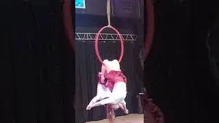 CATWALK Summer, XXIII сезон #catwalkdancefest #aerialhoop #группатату
