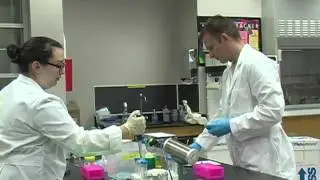 STEM Biology Interns at El Centro College