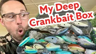 My Deep Crankbait Box - What I Throw!