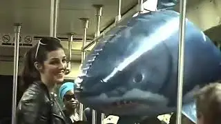 Remote+Control+Flying+Fish,+Air+Shark,+Clown+Fish,+Bird,+Helium+Balloon+Levitation