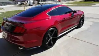 2016 Mustang GT 22 inch rims MagnaFlow competition exhaust
