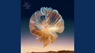 The Re-Launch