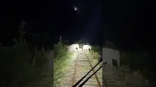 elephant vs train😱😲😧...